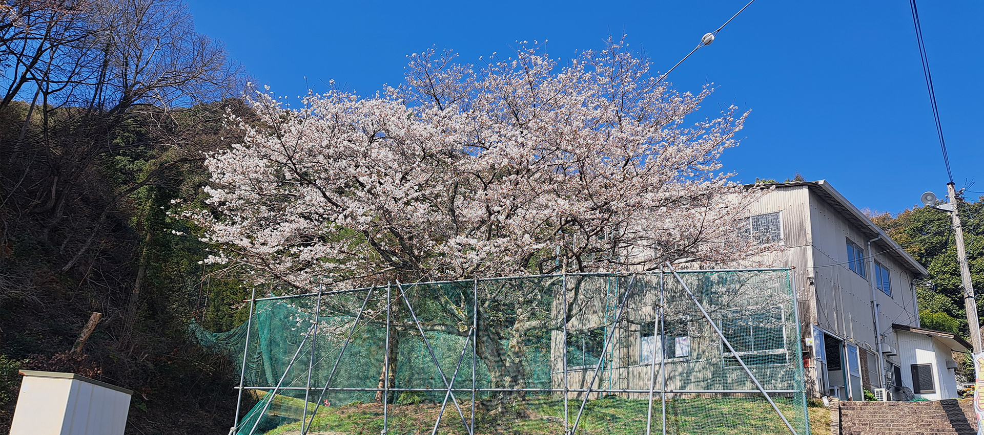 エッジゴルフコーチアカデミー