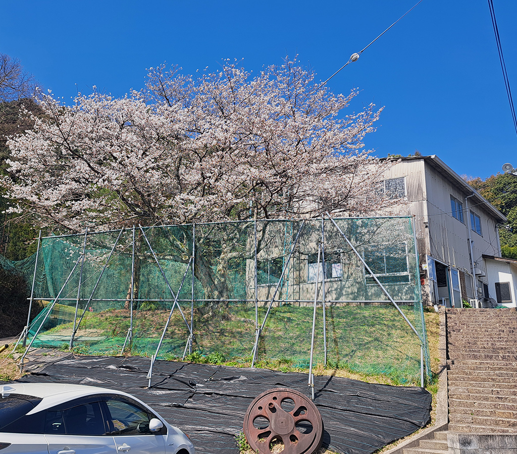 エッジゴルフコーチアカデミー